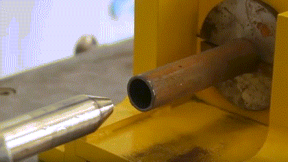 The Alex Stein/AOC big booty Latina extravaganza > General Discussion