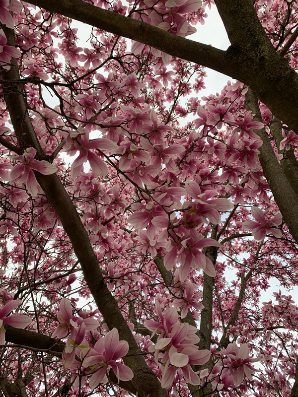 211FCBE9-4EA9-4D9A-8909-37682FD9B8F3