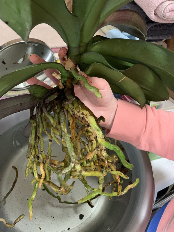 5AB457C5-DC4B-4833-AC9F-8884ED81893C