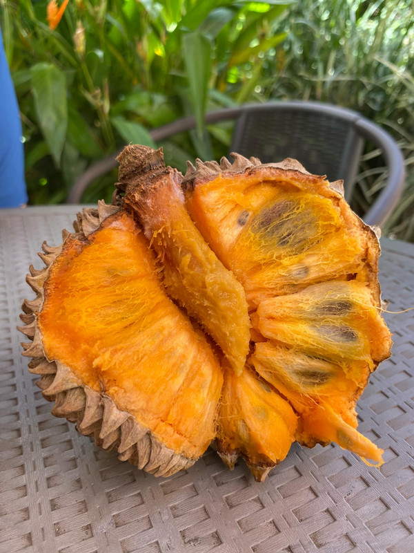 Messenger_creation_9517C73E-55D4-4E27-B806-28F65F839A9C