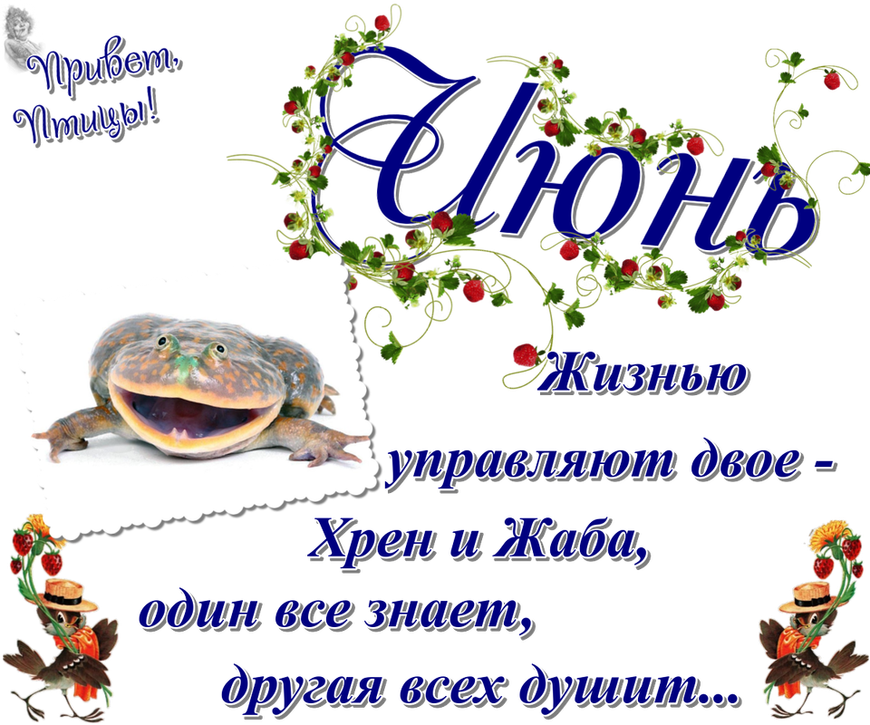 https://i.postimg.cc/rptVmJtf/17-06.png