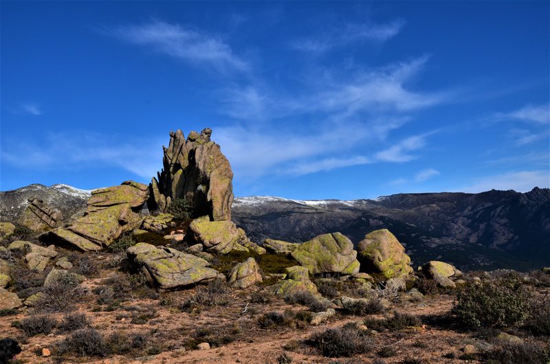 RUTA LOS PORRONES-11-1-2014-MADRID - Paseando por España-1991/2016 (28)