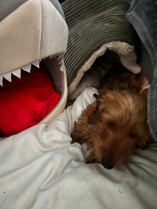 [Image: IMG-20250605-WA0018.jpg]