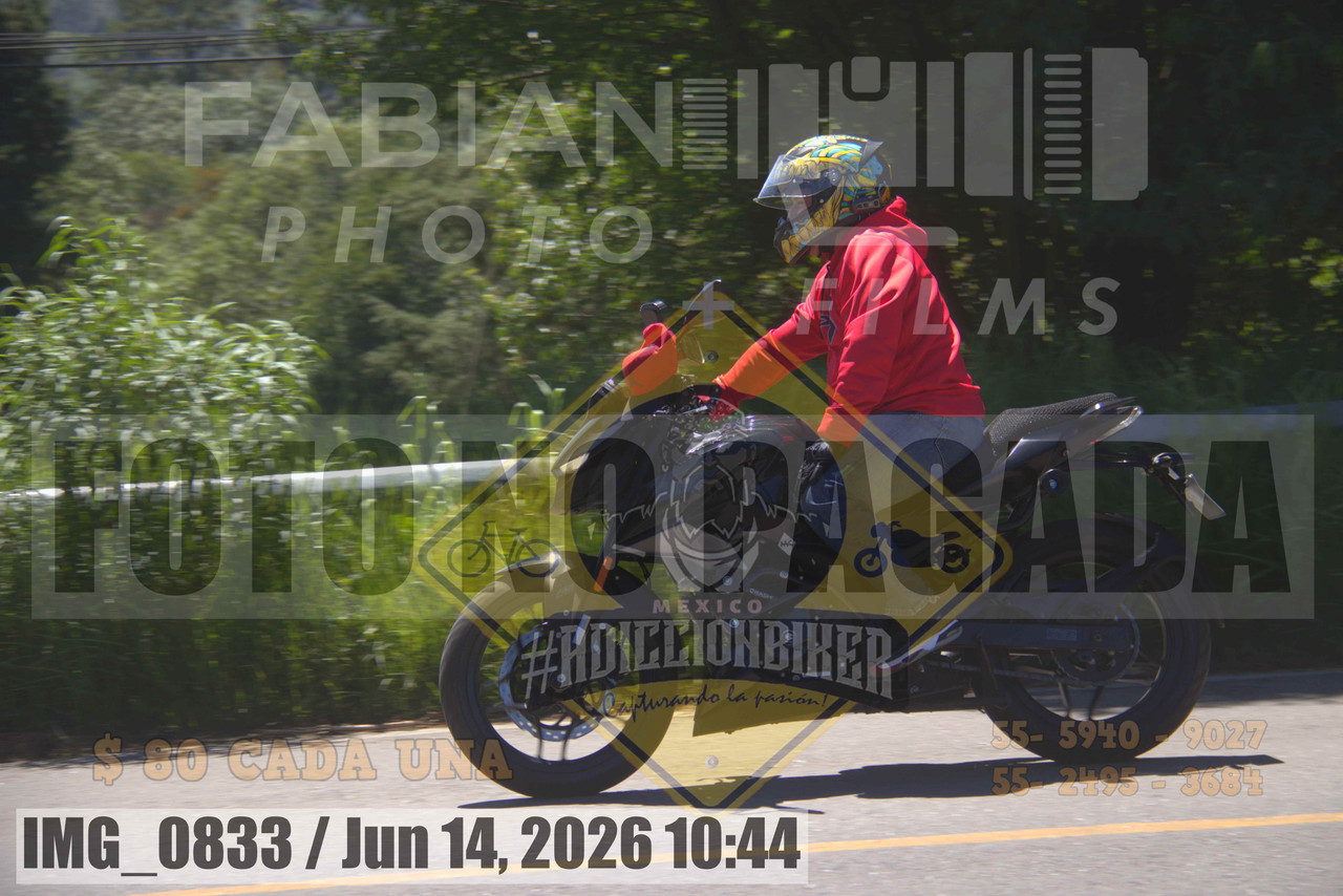 IMG 0833
