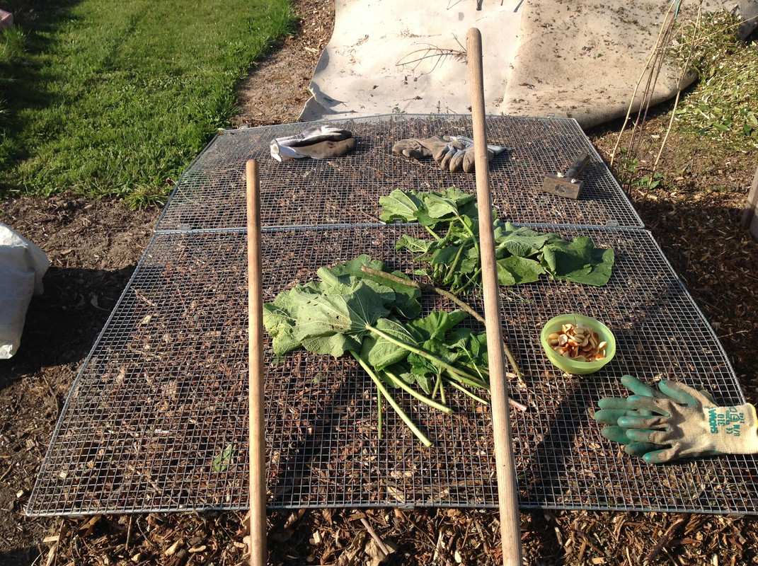 Kompostmiete Aus Drei mach Eins 2.Okt. 2015 (3)