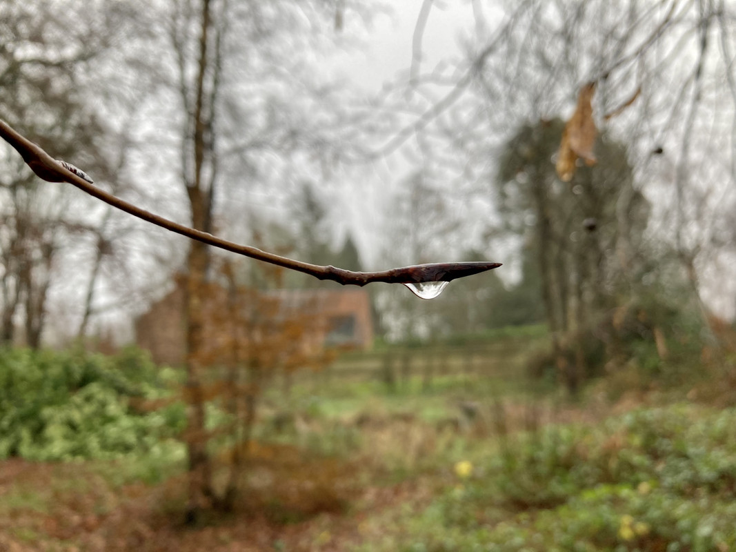 899E8140-EE9D-43C7-A98B-5471ABF8C710