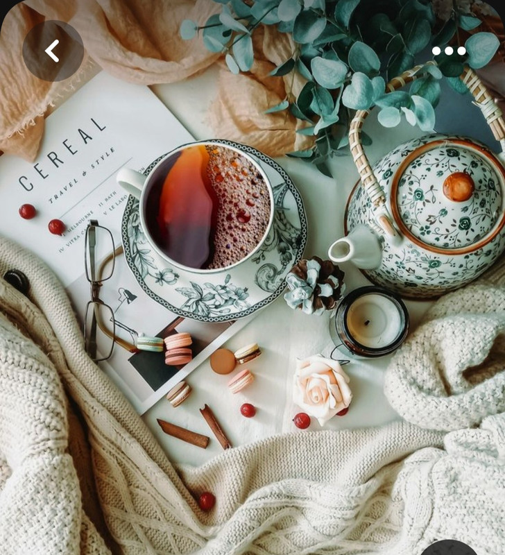 Screenshot_20230705_224316_Pinterest