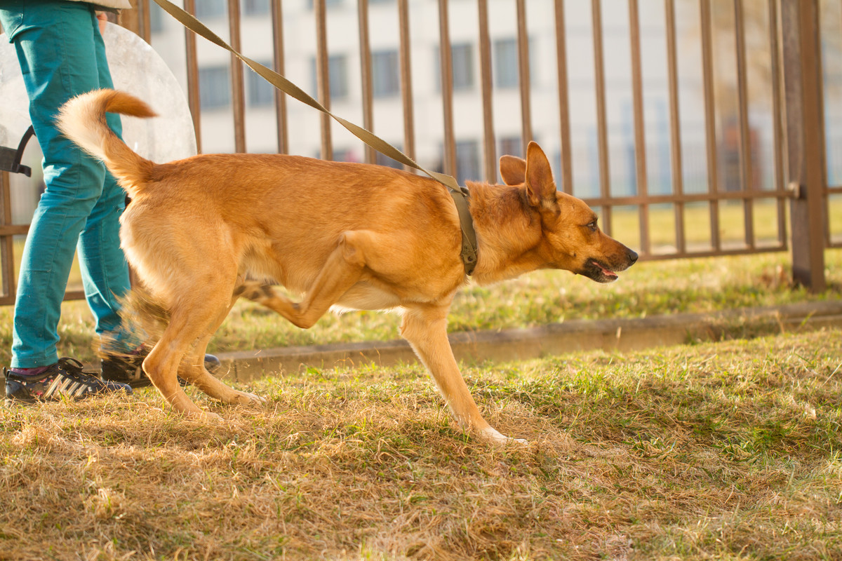 без имени-5326