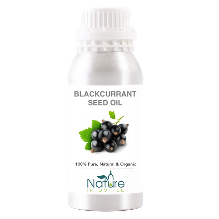 Blackcurrant Seed Oil Organic - Ribes Nigrum Oil Blackcurrant Seed Oil Organic - Ribes Nigrum Oil