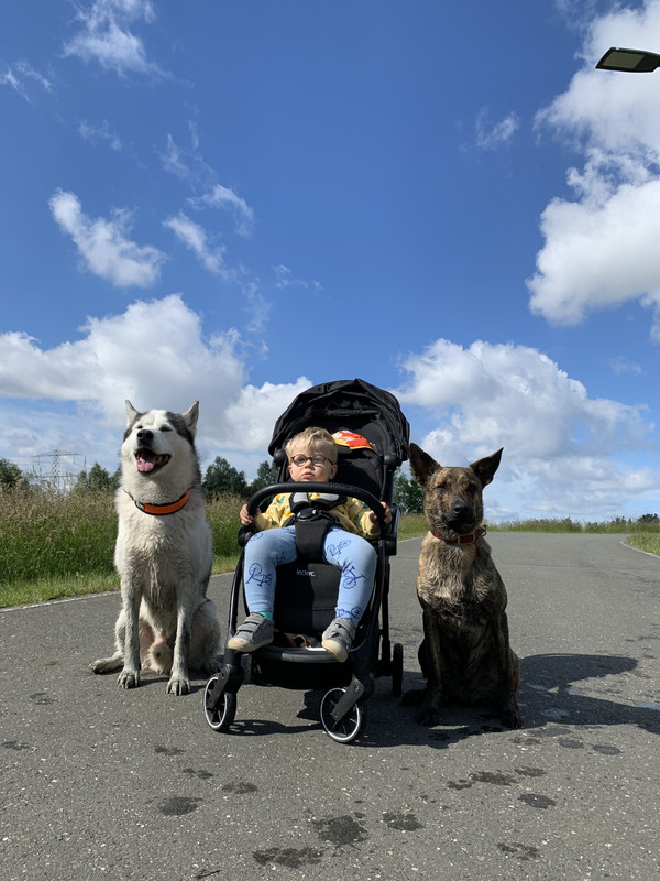 F30023CD-E027-4C96-B7FA-989882FE2552