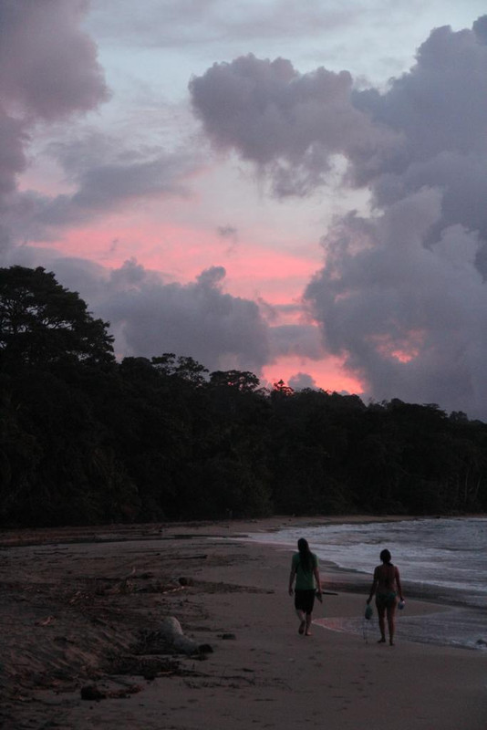 DIA 4: PRIMER DÍA EN PUERTO VIEJO - DE TORTUGAS Y PEREZOSOS. COSTA RICA 2019 (26)