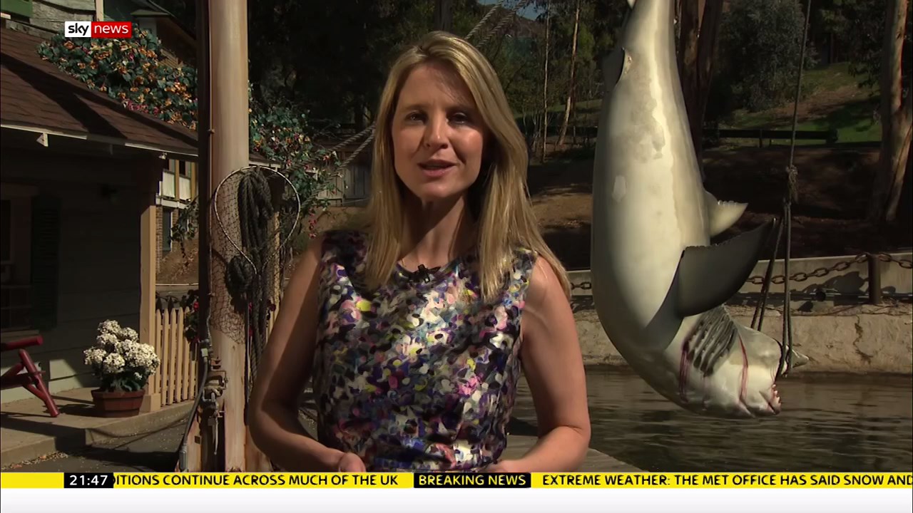 Sky News at 9_20180302_21302200.ts_snapshot_19.00_[2018.03.02_22