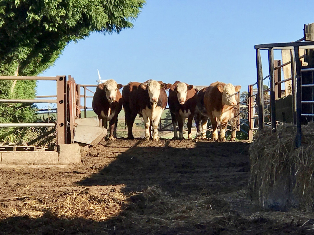 A248D0A7-6868-4E81-8319-133D62256660