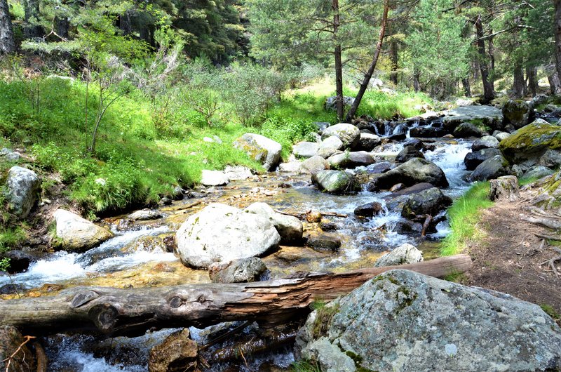 RUTA VALLE DE LA BARRANCA-6-6-2013-MADRID - Paseando por España-1991/2017 (56)