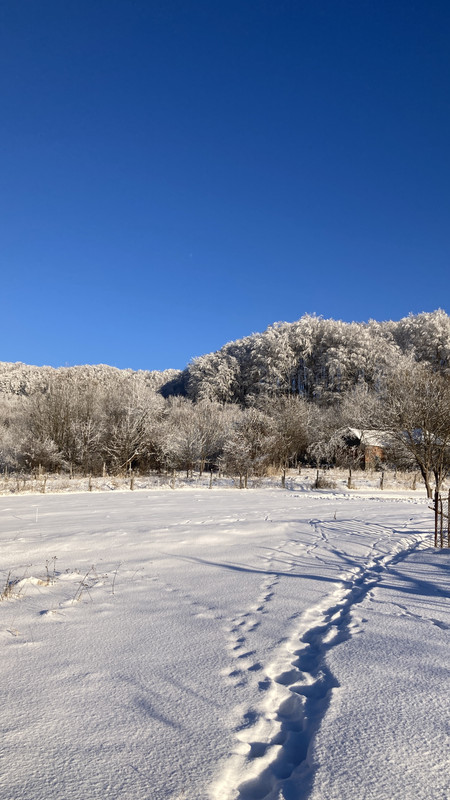 B6BD716E-4B28-4A36-AB92-9B44CBD6B1B6