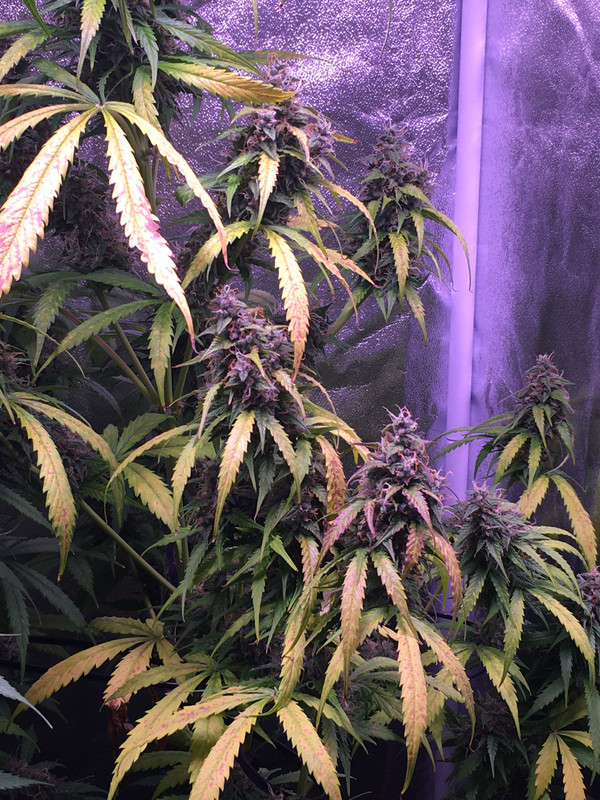 281EAD1C-963E-4B7B-85CD-A6BBE9ECAD26