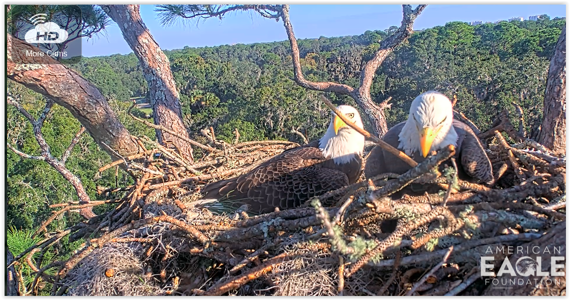 Screen Shot 11 04 25 at 02 44 PM