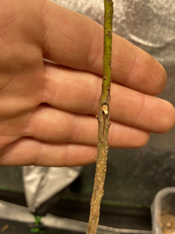 A4133947-3022-4EC5-92A5-9732724E9615