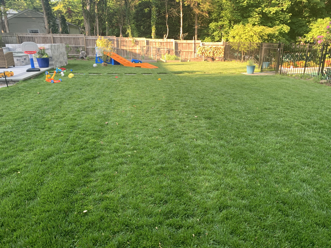 35731C0B-3B1F-48B1-8331-F34C189432F0