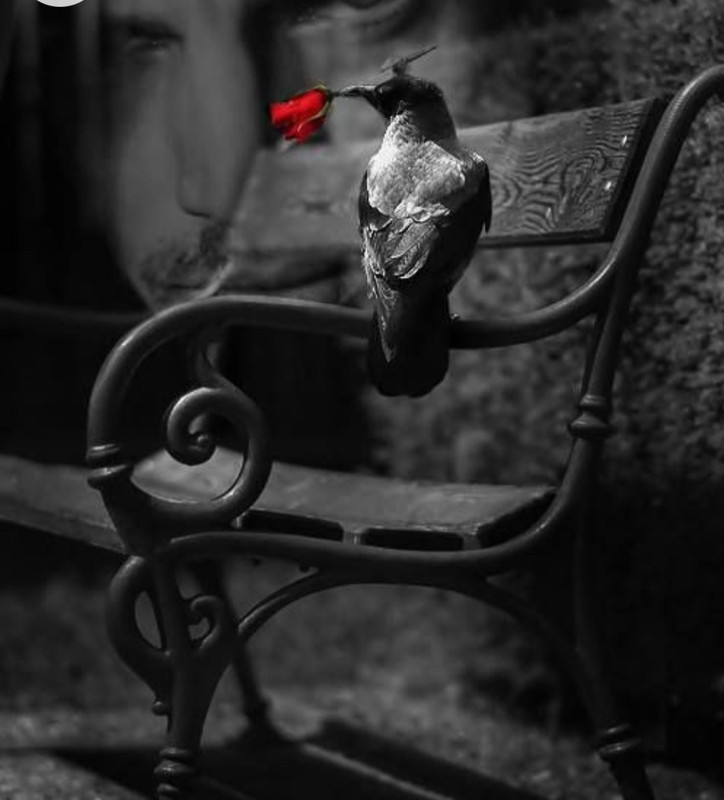 Screenshot_20230129_011850_Chrome