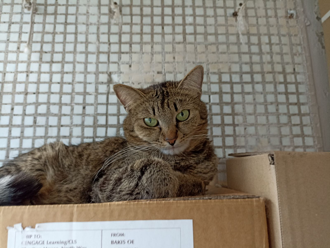 изображение_viber_2022-07-28_11-24-02-190