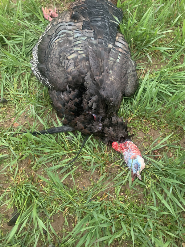 305B5A6D-703A-4D0A-8B6E-AC25ABAB9163