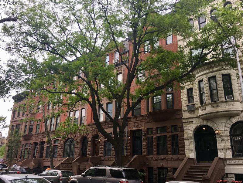 2746FC66-EB7E-456F-978F-31082BABBE7A