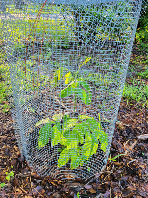 16234977385361304932687153627378