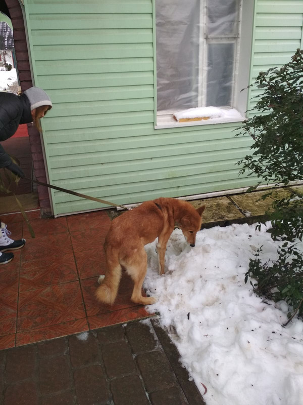 изображение_viber_2019-12-31_13-24-29