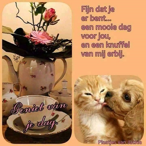 plaatje-van-Jackie