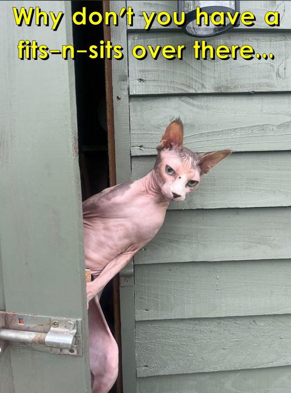111