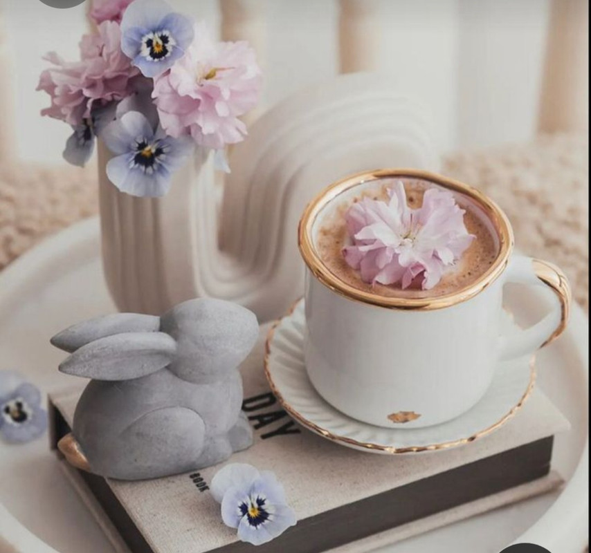 Screenshot_20230328_004723_Pinterest