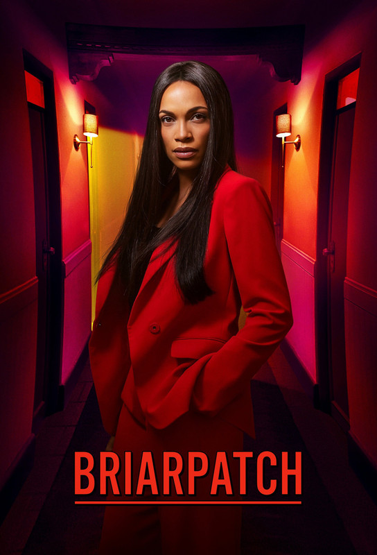 Briarpatch (2020) S01 (1080p AMZN Webrip x265 10bit EAC3 5.1 - DNU) [TAoE]