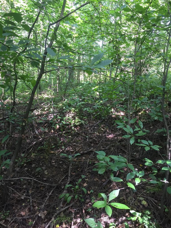 74FA1DDF-8B5A-4D46-89CB-70ED24AC06C3