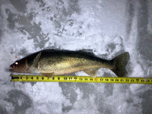 0ec9ccb3 2ba8 4426 9eca 8ceba17342de