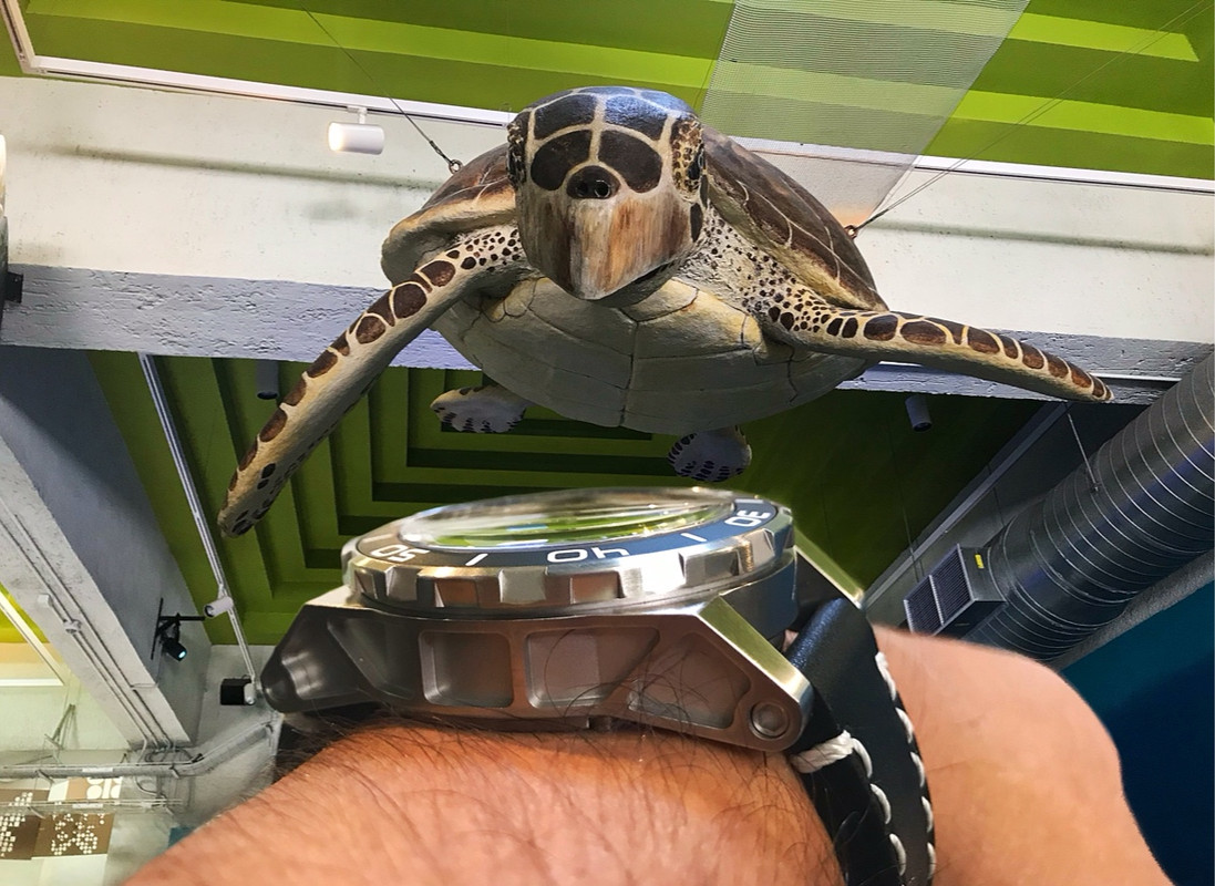 DE959204-1A9D-45F7-8D2F-5287A604785A