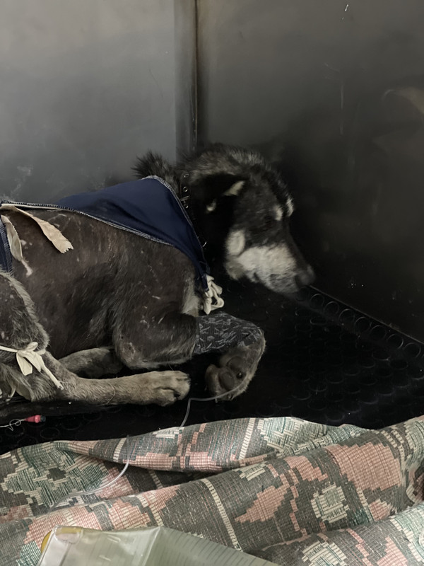 F76F594A-732C-49F0-B3C1-179CF3AF7B48