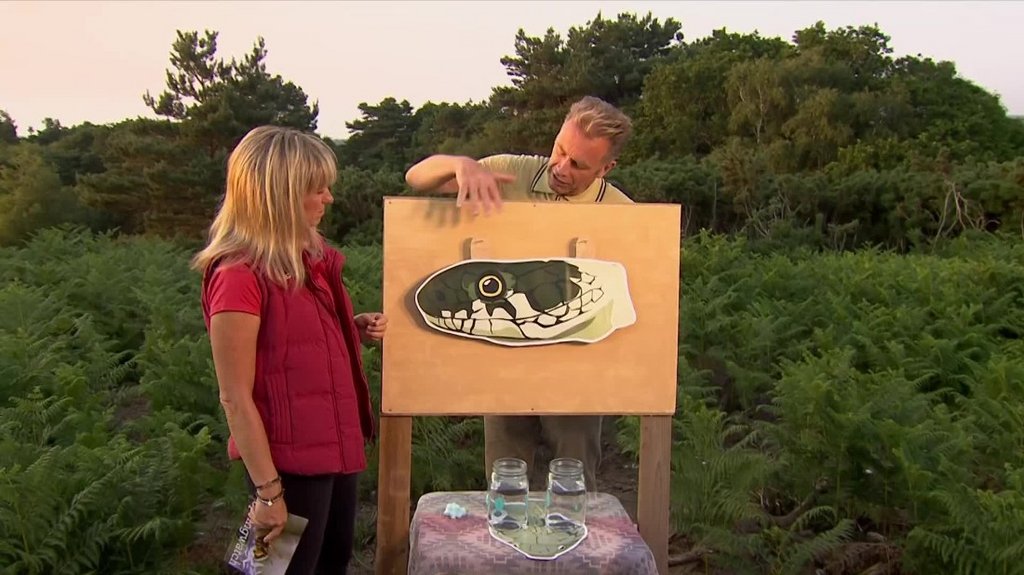 [Image: 4zr0y6qnvov1.jpg]