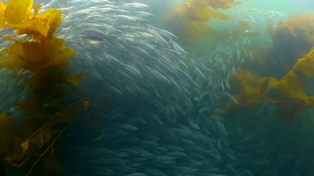 [Image: y07mhivvoa37.png]