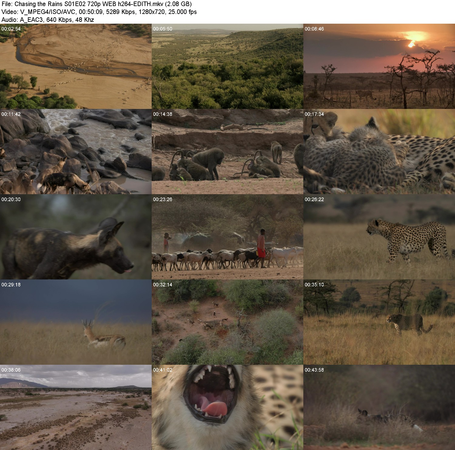 [Image: 34raoc4rufz7.jpg]