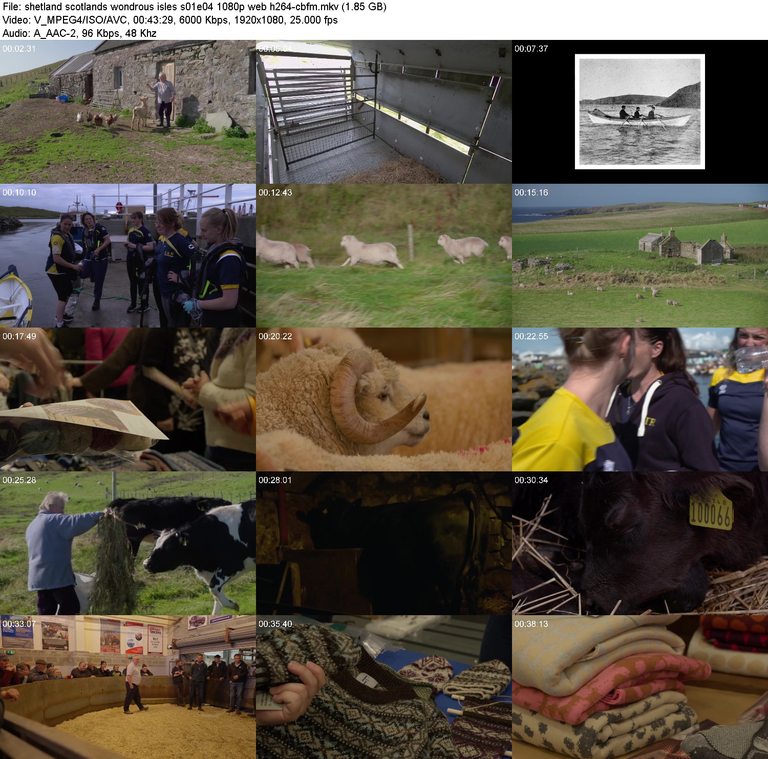 [Image: 7ij84tcg5sil.jpg]