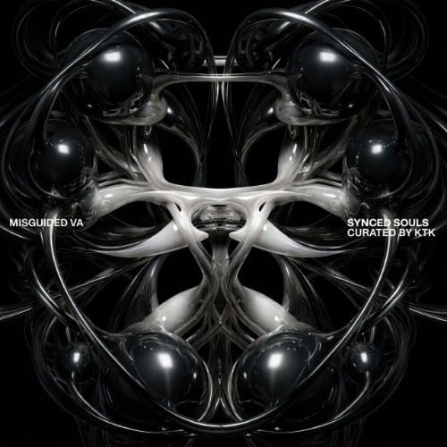 VA - SYNCED SOULS (2026)