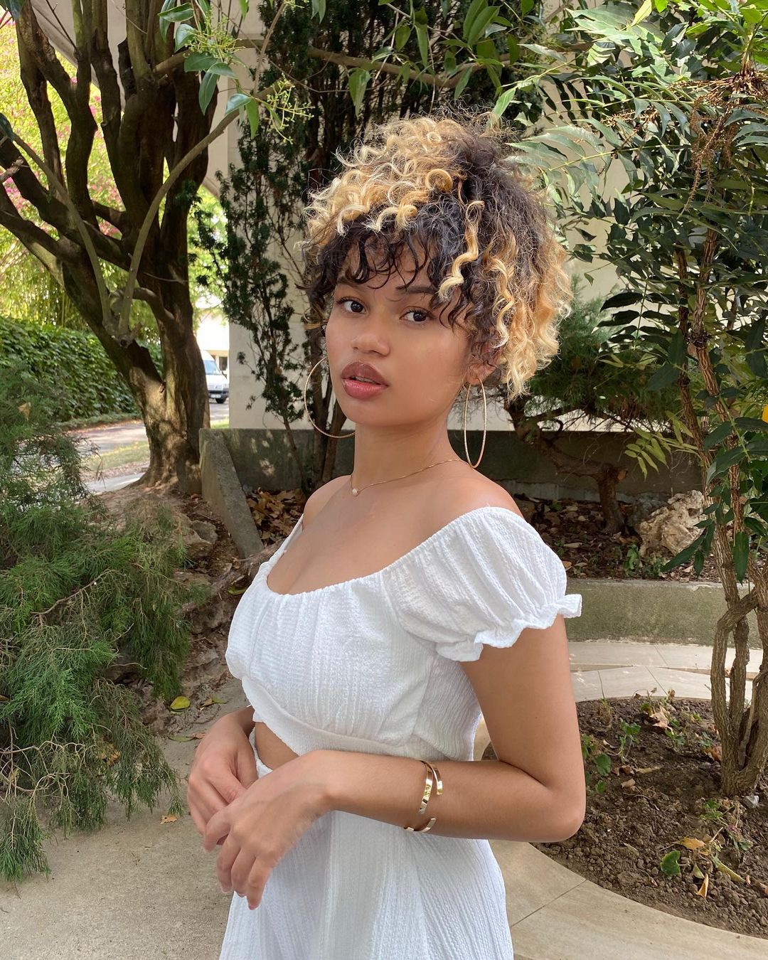 goldenticia-2.jpg