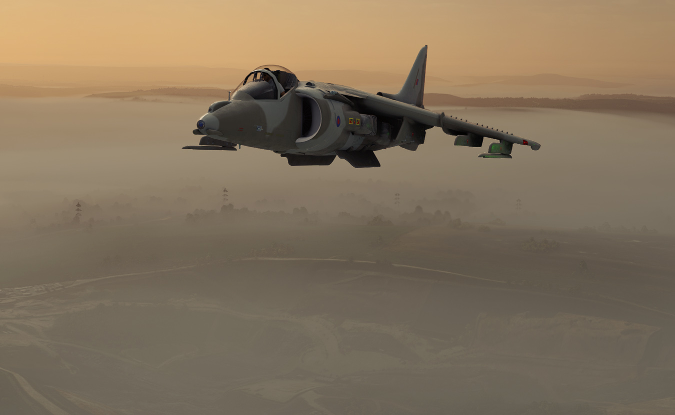 Harrier-Wales-05-1350.jpg?dl=1