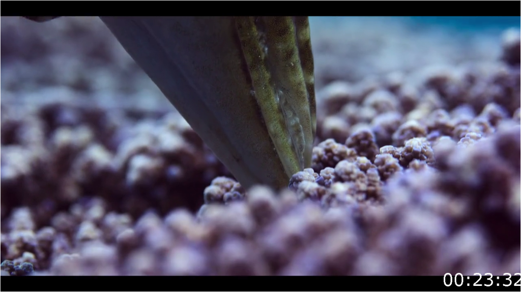 [Image: k6r5cbl5g2uf.png]