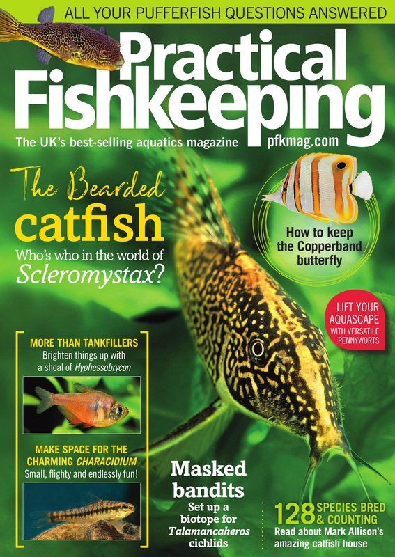 Practical-Fishkeeping-September-2019.jpg
