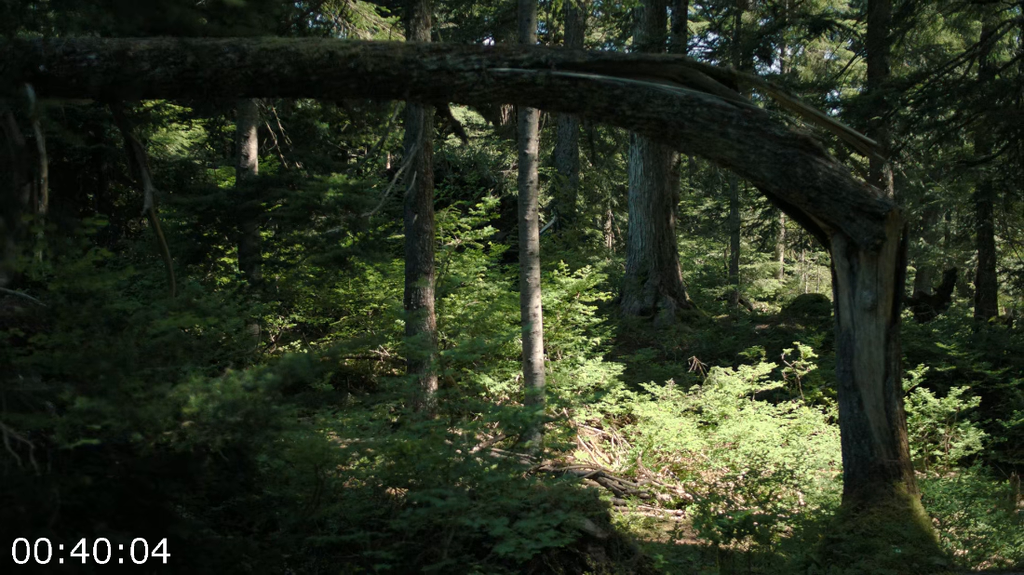 [Image: dq0j2tvj43eu.png]