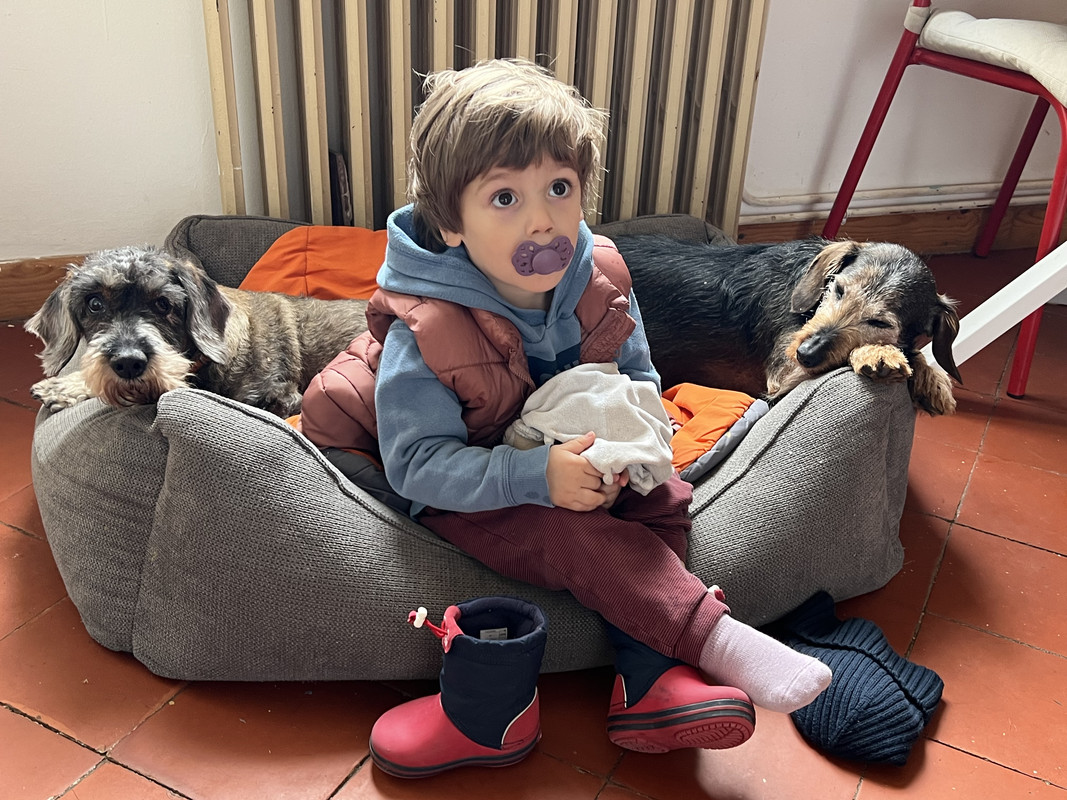 [Image: IMG-3778.jpg]