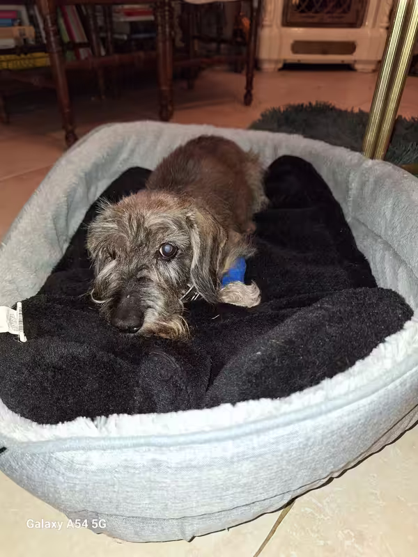 [Image: 20241031-194257.avif]