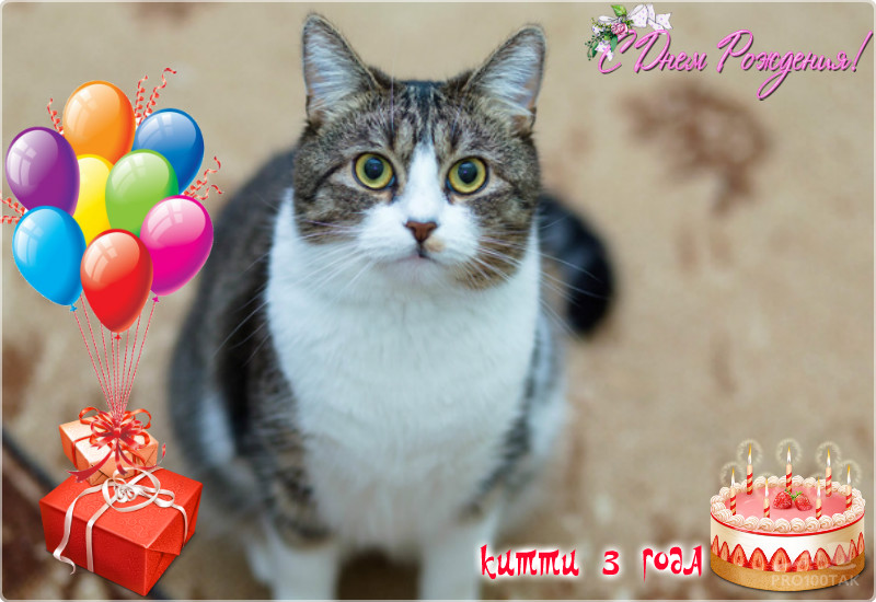 pro100tak-4_3_2019-21_37_7